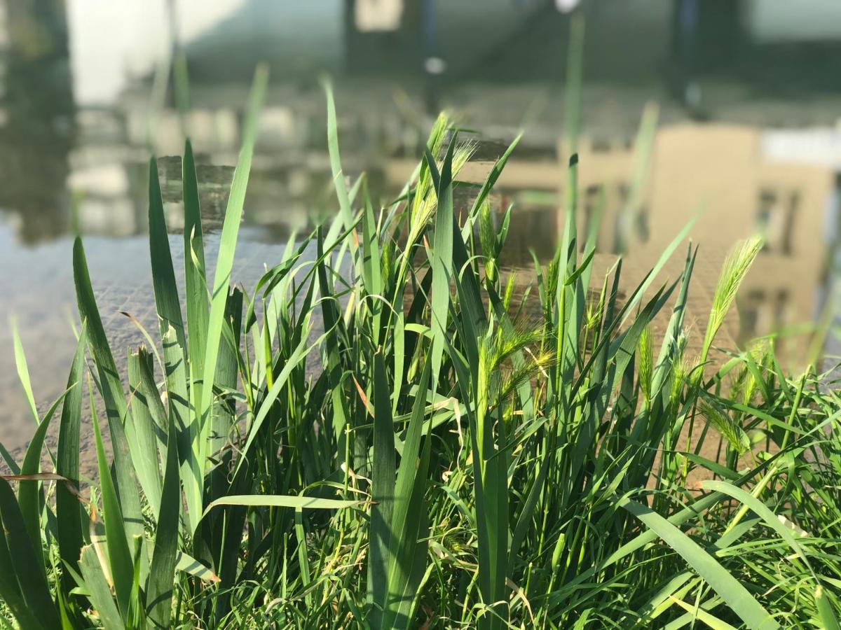 مبيت وإفطار ميلان Residenza Fiori Di Grano المظهر الخارجي الصورة